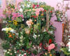 Nasza kawiaciarnia Sosnowiec - galeria kwiatw - przykadowe kompozycje kwiatowe